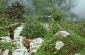 WT 1000 191-20 Nepal